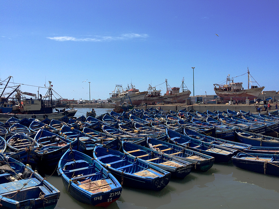Milhares de barcos azuis no porto de Essaouira.